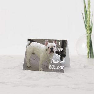 Cartes Pour Fêtes Annuelles J'Aime Mon Chien À Balle Français