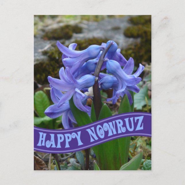 Cartes Pour Fêtes Annuelles Jardin bleu jacinthe nouvel an iranien Nowrooz (Devant)