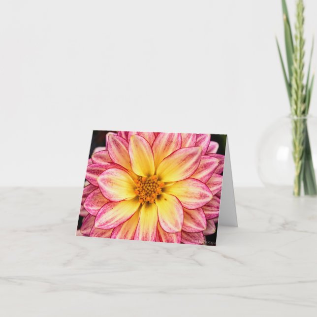 Cartes Pour Fêtes Annuelles Jardin Daliha Tie Dye Rose Gros Plan  (Devant)