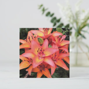 Cartes Pour Fêtes Annuelles Jardin de couleur corail artistique Lys