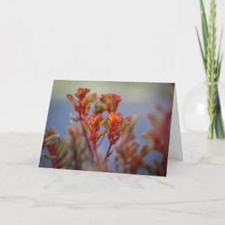 Cartes Pour Fêtes Annuelles Jardin de Noël désert plante rouge vert