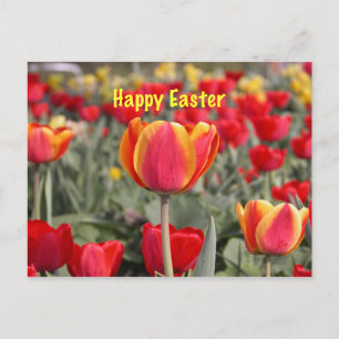 Cartes Pour Fêtes Annuelles Jardin de Tulip Joyeux Pâques