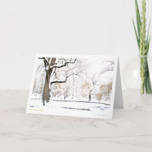Cartes Pour Fêtes Annuelles Jardin public de Boston