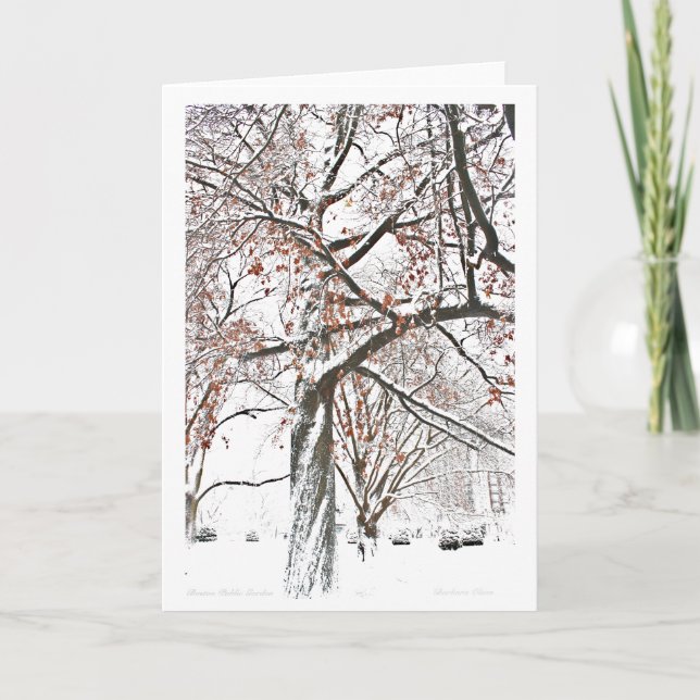 Cartes Pour Fêtes Annuelles Jardin public de Boston (Devant)