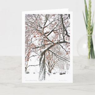 Cartes Pour Fêtes Annuelles Jardin public de Boston