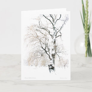 Cartes Pour Fêtes Annuelles Jardin public de Boston