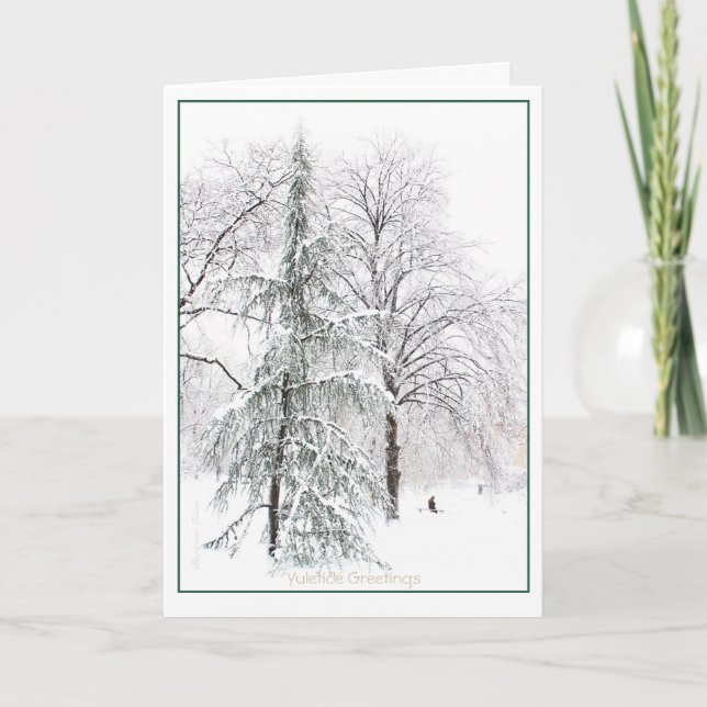 Cartes Pour Fêtes Annuelles Jardin public de Boston : Holiday Yuletide (Devant)