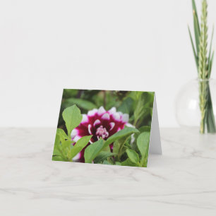 Cartes Pour Fêtes Annuelles Jardin rose Daliha Fête des mères