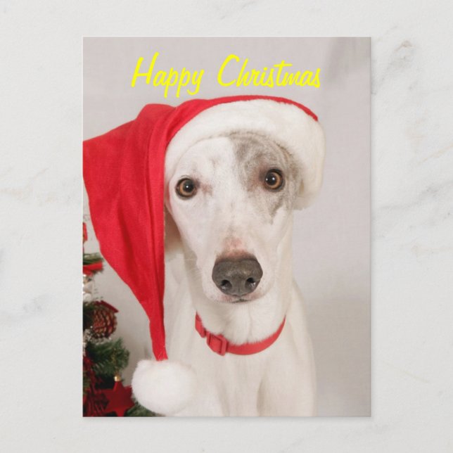 Cartes Pour Fêtes Annuelles Jasper le chien de Noël (Devant)