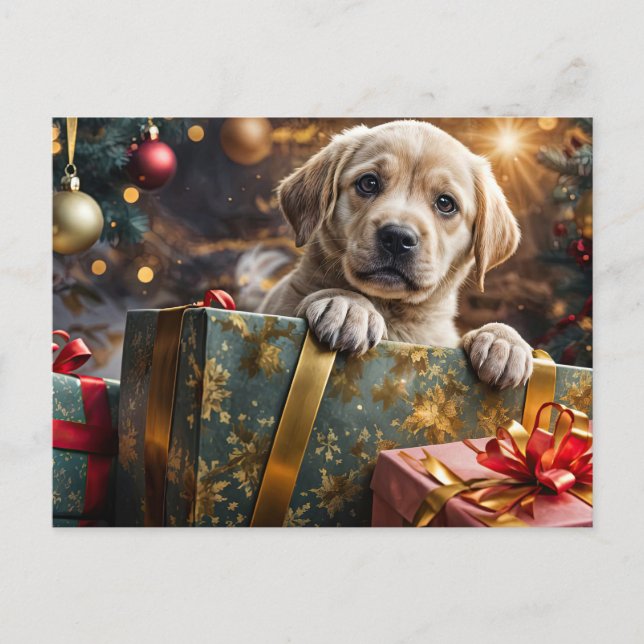 Cartes Pour Fêtes Annuelles Jaune Labrador Chiot Noël (Devant)
