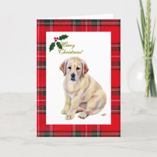 Cartes Pour Fêtes Annuelles Jaune Labrador Chiot Tartan Noël