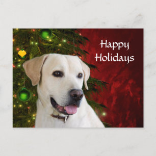 Cartes Pour Fêtes Annuelles Jaune labrador récupérateur Noël