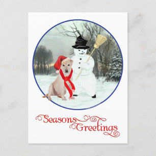 Cartes Pour Fêtes Annuelles Jaune Labrador Retriers Noël