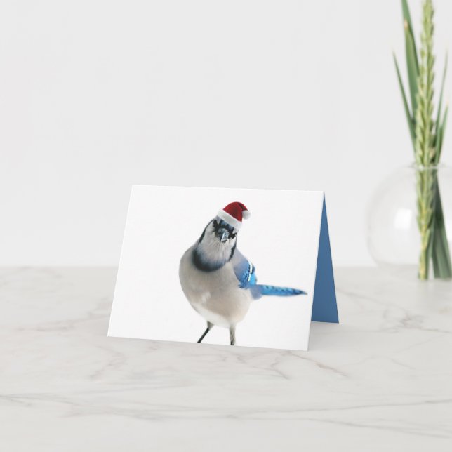 Cartes Pour Fêtes Annuelles Jay bleu (Devant)
