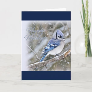 Cartes Pour Fêtes Annuelles Jay Bleu en Noël de neige