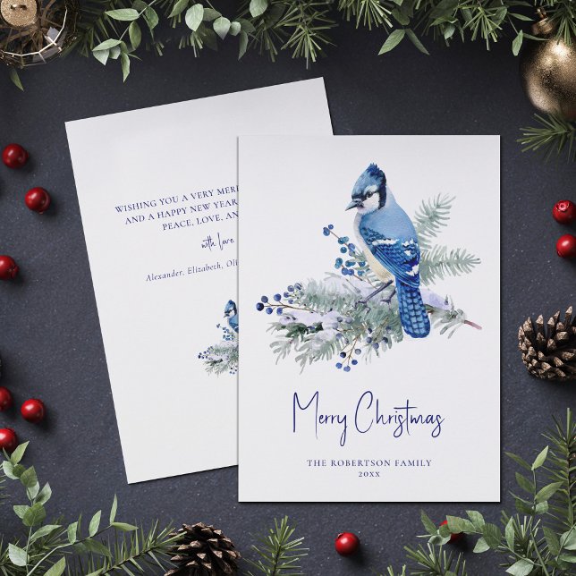 Cartes Pour Fêtes Annuelles Jay bleu hiver Noël (Créateur téléchargé)