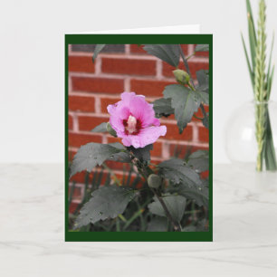 Cartes Pour Fêtes Annuelles Je crois en toi, maman