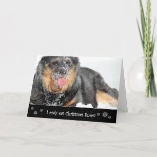 Cartes Pour Fêtes Annuelles Je mange seulement la neige de Noël