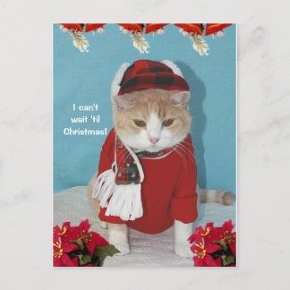 Cartes Pour Fêtes Annuelles Je ne peux pas attendre 'jusqu'à Noël !