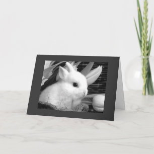 CARTES POUR FÊTES ANNUELLES **JE PEUX "PARTAGER DES BONBONS" AVEC VOUS À PÂQUE