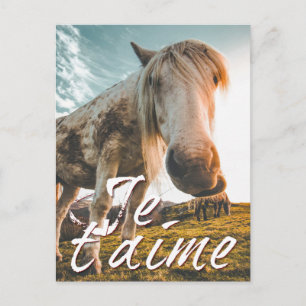 Cartes Pour Fêtes Annuelles Je t'aime avec un cheval regardé