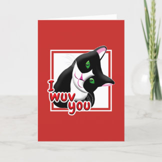 Cartes Pour Fêtes Annuelles Je T'aime Chat de la Saint-Valentin