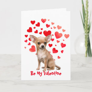 Cartes Pour Fêtes Annuelles Je t'aime Chihuahua Chien de la Saint-Valentin