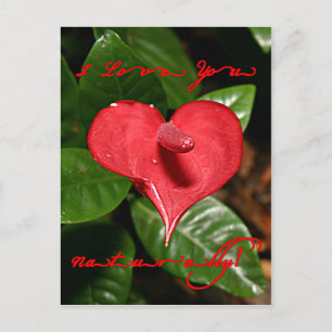 Cartes Pour Fêtes Annuelles Je t'aime naturellement ! - Saint-Valentin +