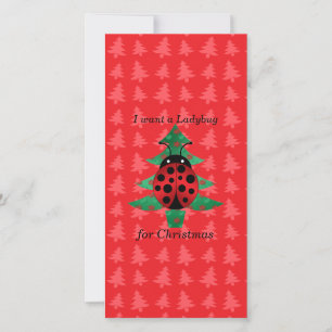 Cartes Pour Fêtes Annuelles Je veux une coccinelle pour les arbres de Noël