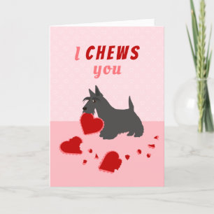 Cartes Pour Fêtes Annuelles Je vous mâche Scottish Terrier Valentine's Day