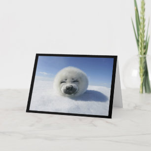 Cartes Pour Fêtes Annuelles Je vous matraque (amour/carte jour de valentine)