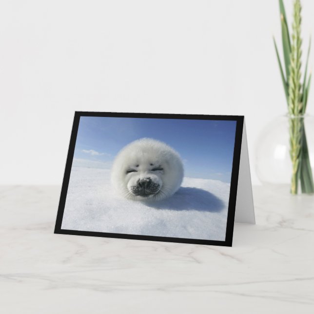 Cartes Pour Fêtes Annuelles Je vous matraque (amour/carte jour de valentine) (Devant)