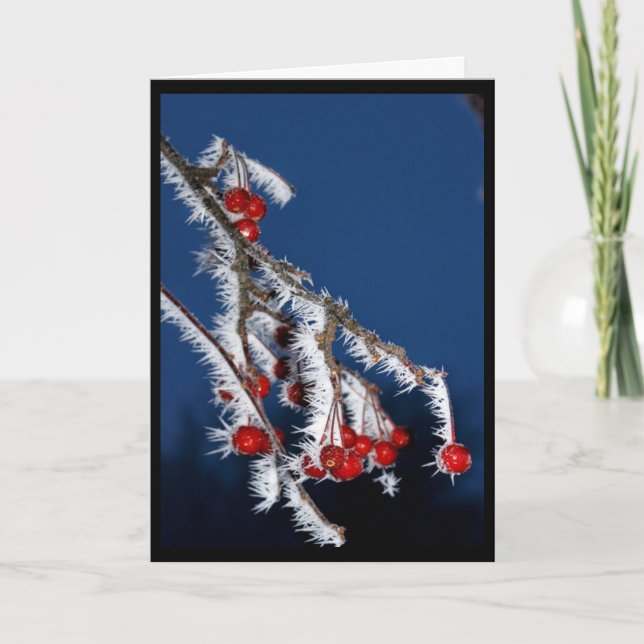 Cartes Pour Fêtes Annuelles Je Vous Souhaite Un Joyeux Noël Berry ! (Devant)