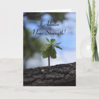 Jeune arbre qui pousse à partir d'un journal