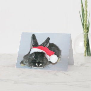 Cartes Pour Fêtes Annuelles Jeune lapin de Noël