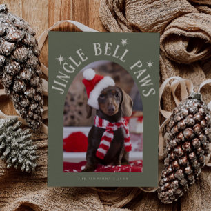 Cartes Pour Fêtes Annuelles Jingle Bell Patrouilles Chien Photo Sage Vert Noël