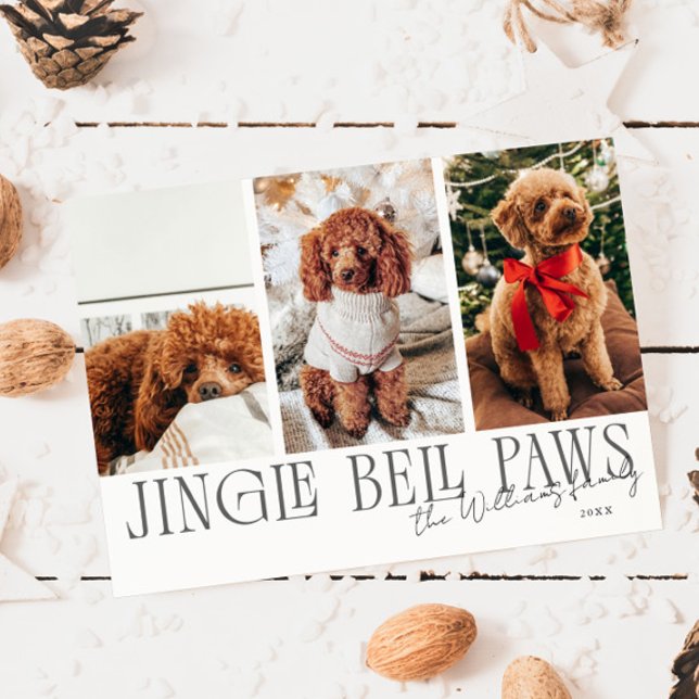 Cartes Pour Fêtes Annuelles Jingle Bell Paws Christmas White Dog Photo  (Créateur téléchargé)