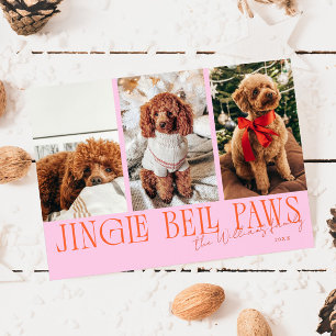 Cartes Pour Fêtes Annuelles Jingle Bell Paws Noël Orange Rose Photo de Chien