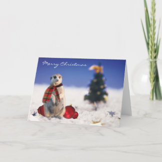 Cartes Pour Fêtes Annuelles Jo Jo bonjour vous souhaite un Joyeux Noël