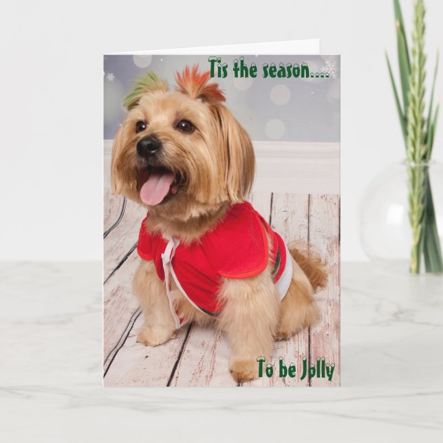 Cartes Pour Fêtes Annuelles Joey éprouve la beauté de Noël (Devant)