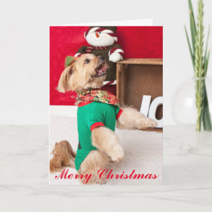 Cartes Pour Fêtes Annuelles Joey soucieux pour Noël (2015)