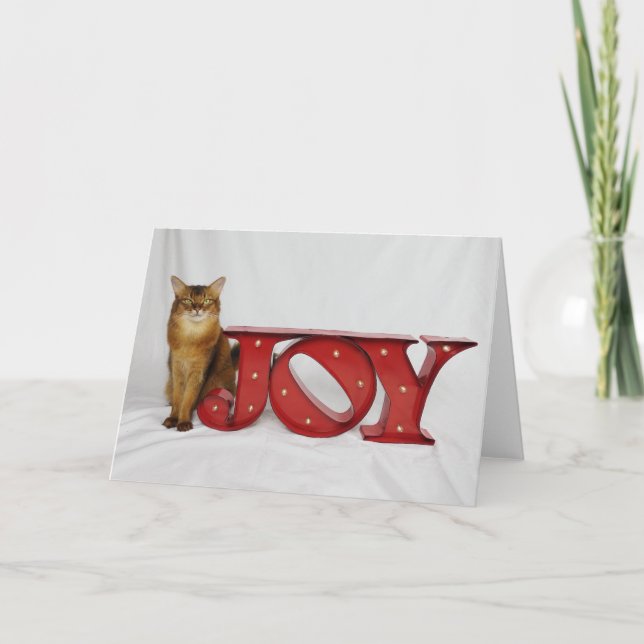 Cartes Pour Fêtes Annuelles Joie de vacances comportant la samba d'été (Devant)