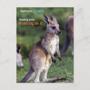 Cartes Pour Fêtes Annuelles Joie moelleuse mignonne Kangaroo