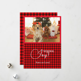 Cartes Pour Fêtes Annuelles Joie saisonnière Xmas Chiens et chat animal de com