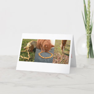 Cartes Pour Fêtes Annuelles JOIY animaux