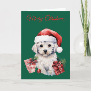 Cartes Pour Fêtes Annuelles Joli Bichon Frise à Noël