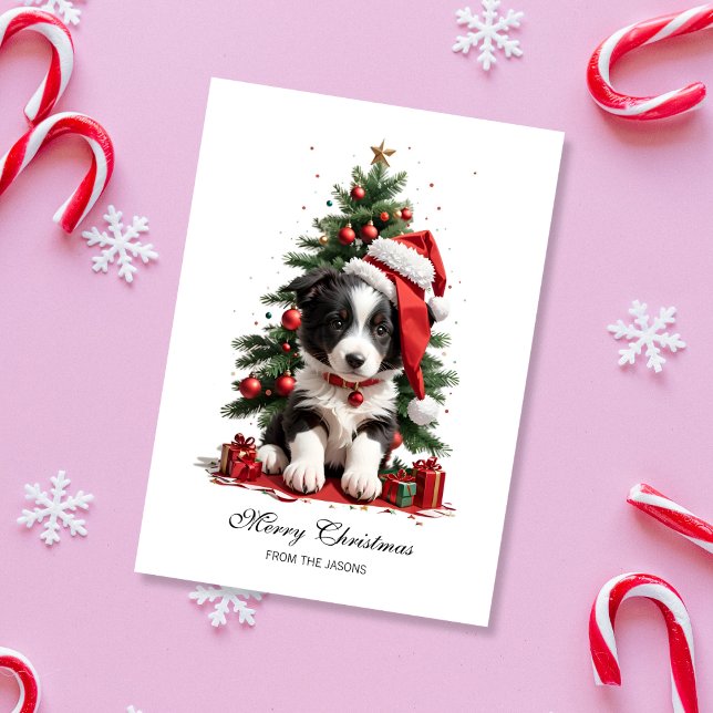 Cartes Pour Fêtes Annuelles Joli Bordure Collie Noël Chiot Personnalisé (Cute Border Collie Christmas Card)