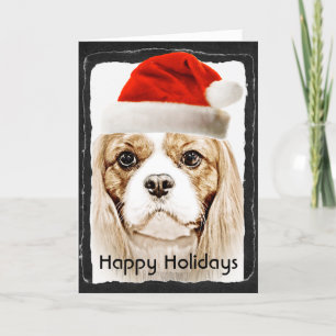 Cartes Pour Fêtes Annuelles Joli Cavalier King Charles Spaniel