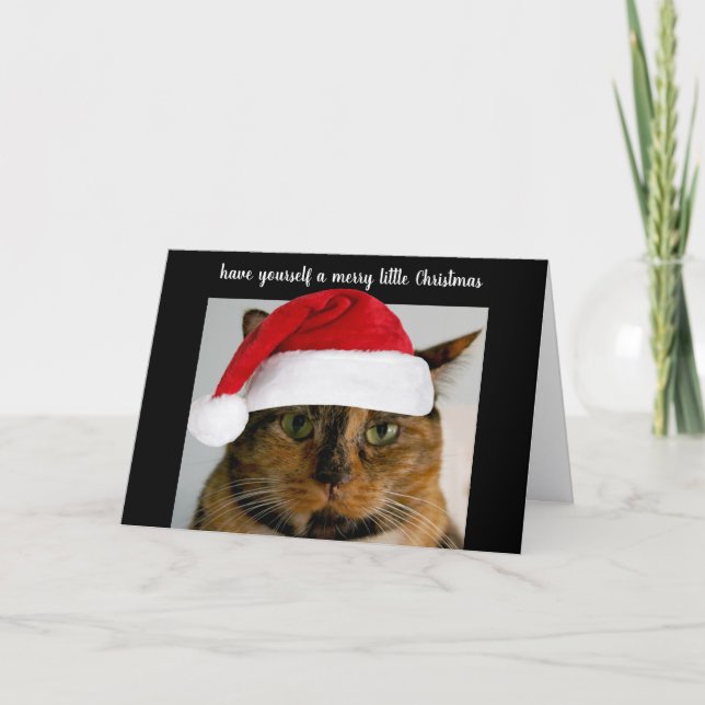 Cartes Pour Fêtes Annuelles Joli chat calico avec chapeau de Père Noël, person (Devant)