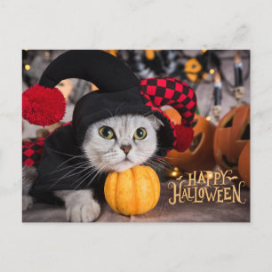 Cartes Pour Fêtes Annuelles Joli chat dans un drôle de costume d'Halloween 